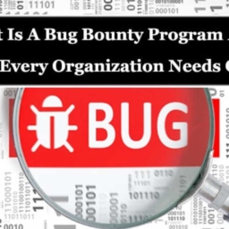 What is Bug Bounty?