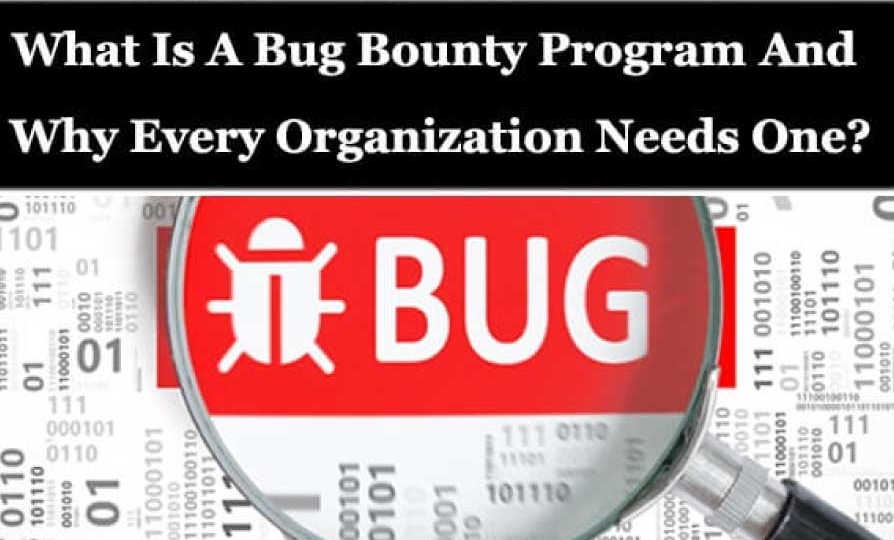 What is Bug Bounty?